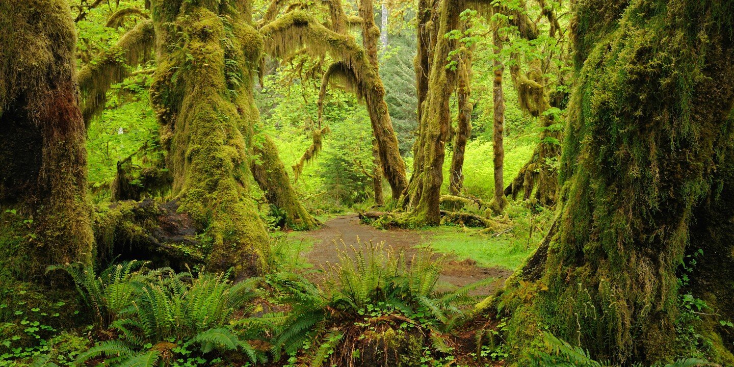 🏞️ 실산 전망 공원(겐야마 텐보코엔) 이미지 4